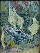 Butterflies, Vincent Van Gogh